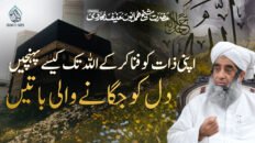 Apni Zaat Ko Fana Ker Ke Allah Tak Kese Pohonchen | Dil Ko Jaganay Wali Baaten | Hazrat Shaykh Humayun Hanif Mujaddidi