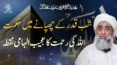Shab e Qadar Ke Chupanay May Hikmat Or Allah Ki Rehmat Ka Ajeeb Ilhami Nuqta – Hazrat Shaykh Humayun Hanif Mujaddidi