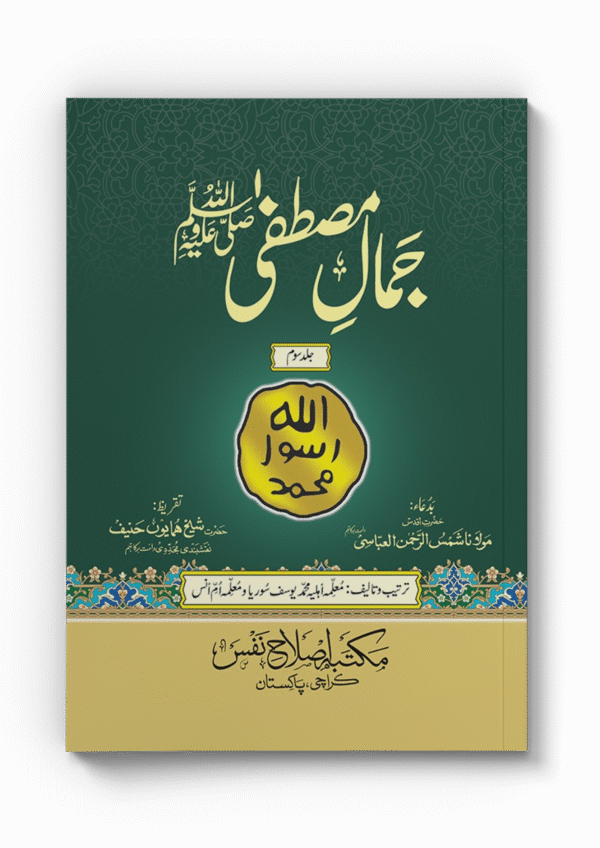Jamal e Mustafa (pbuh) - Vol 3 - Image 3